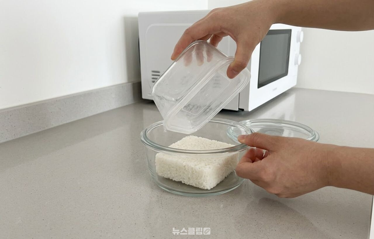 냉동밥 내열유리 / 기사 이해를 돕기 위한 AI 이미지