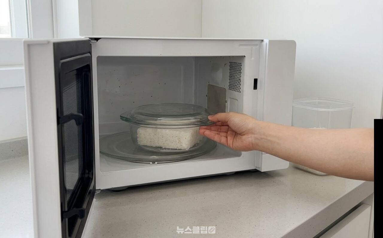 냉동밥 내열유리 / 기사 이해를 돕기 위한 AI 이미지
