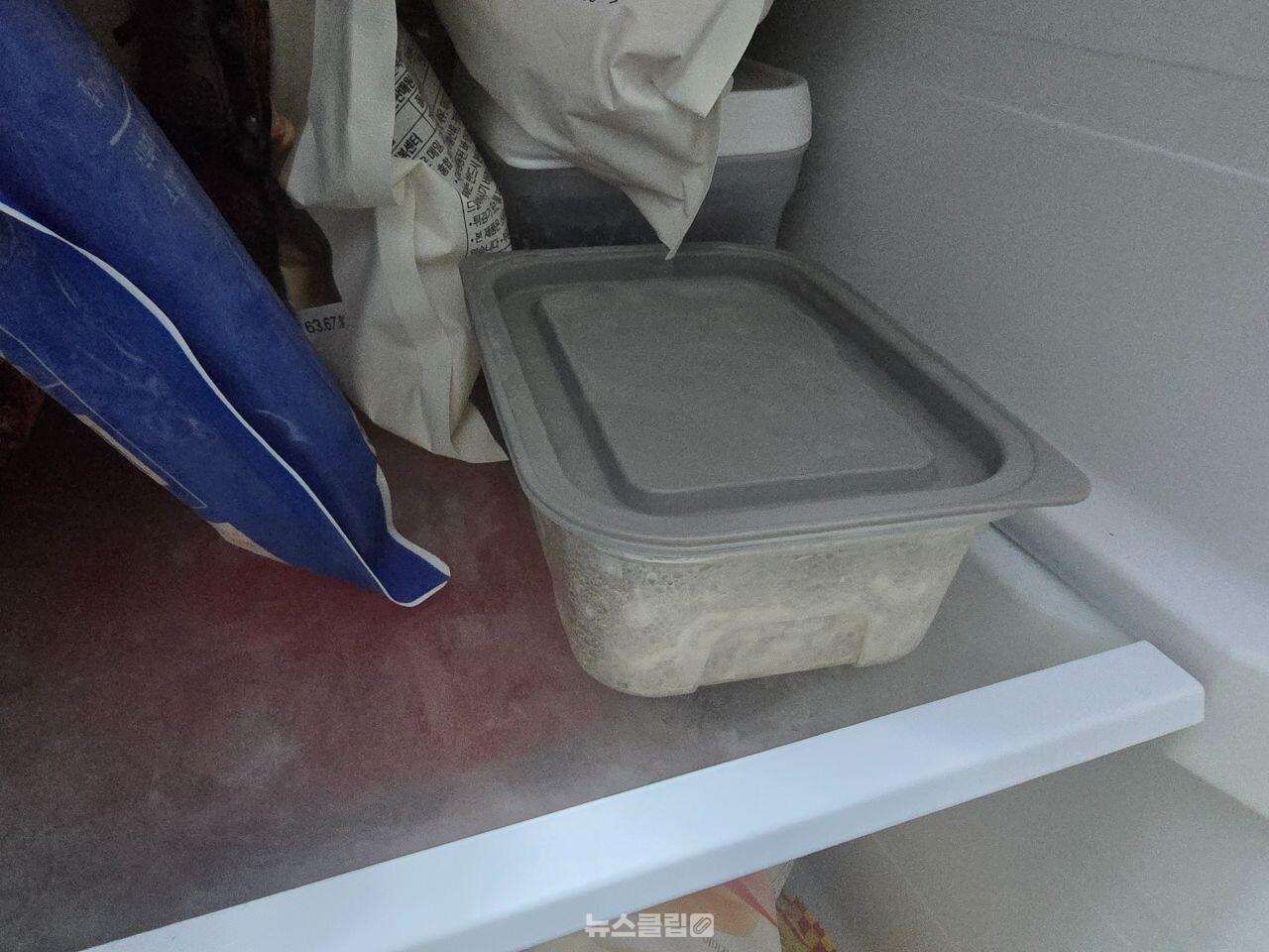 냉동밥 / 뉴스클립