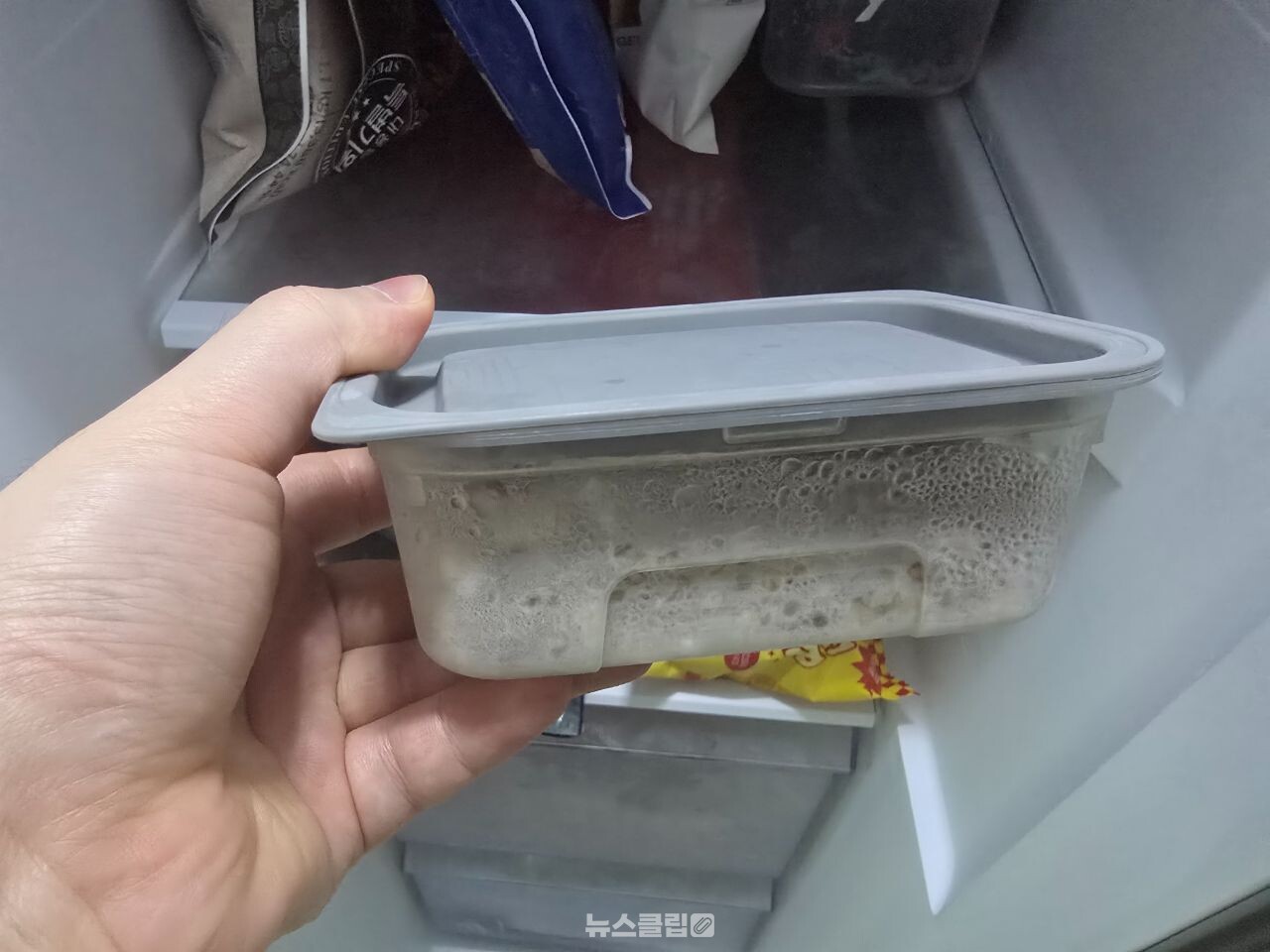냉동밥 / 뉴스클립