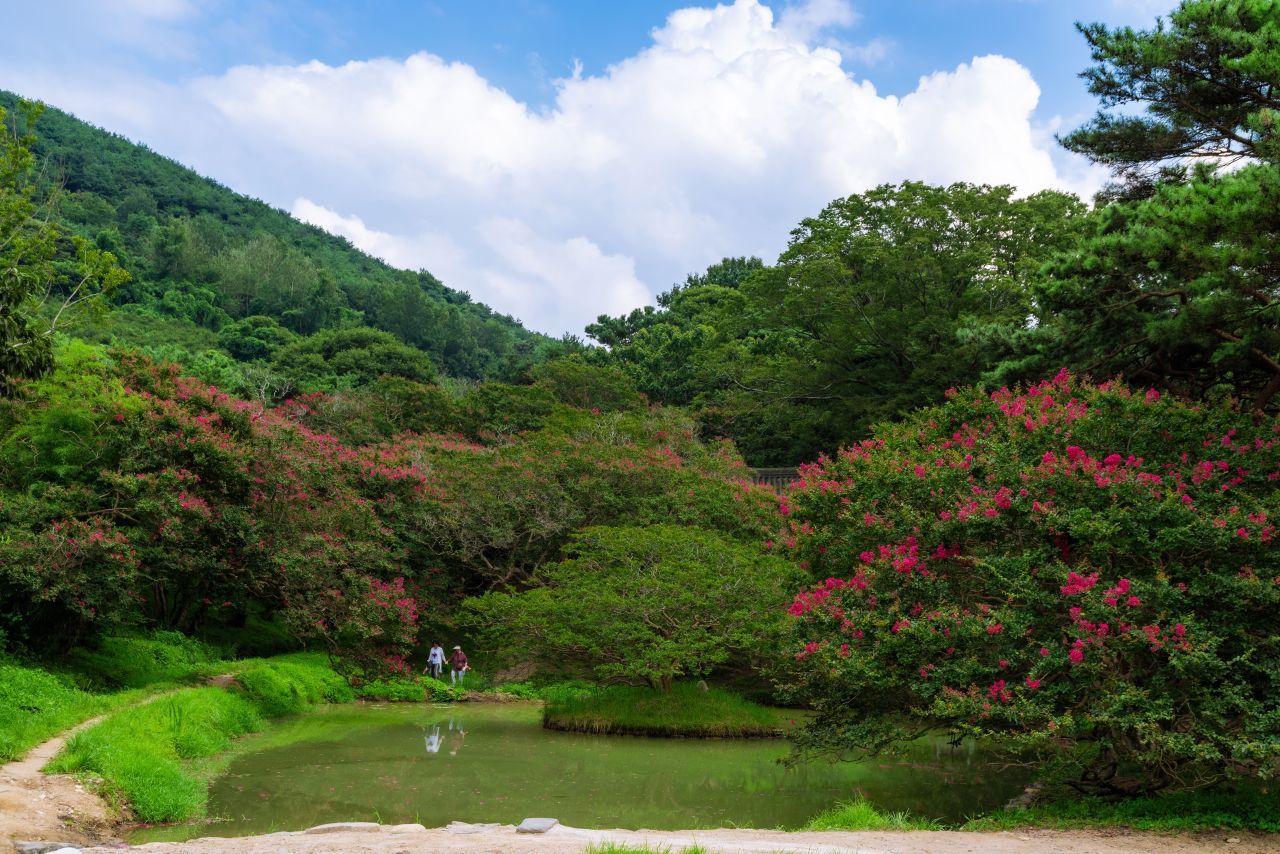 담양 명옥헌 원림 / 한국관광콘텐츠랩-오경택
