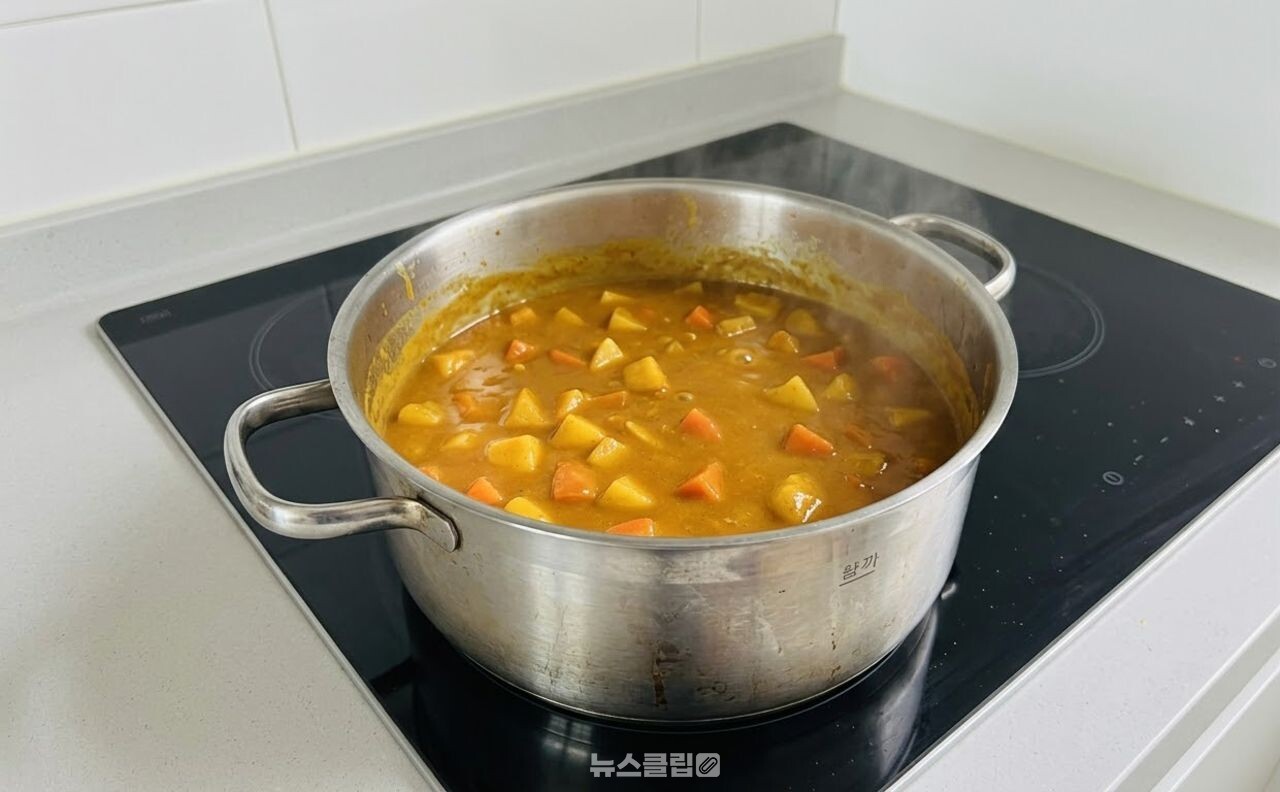 카레 레시피 / 기사 이해를 돕기 위한 AI 이미지