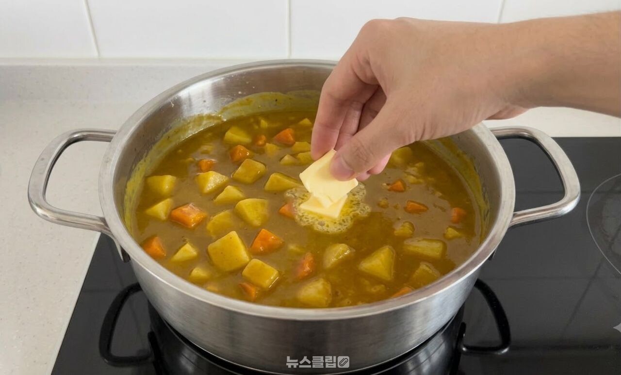 카레 레시피 / 기사 이해를 돕기 위한 AI 이미지