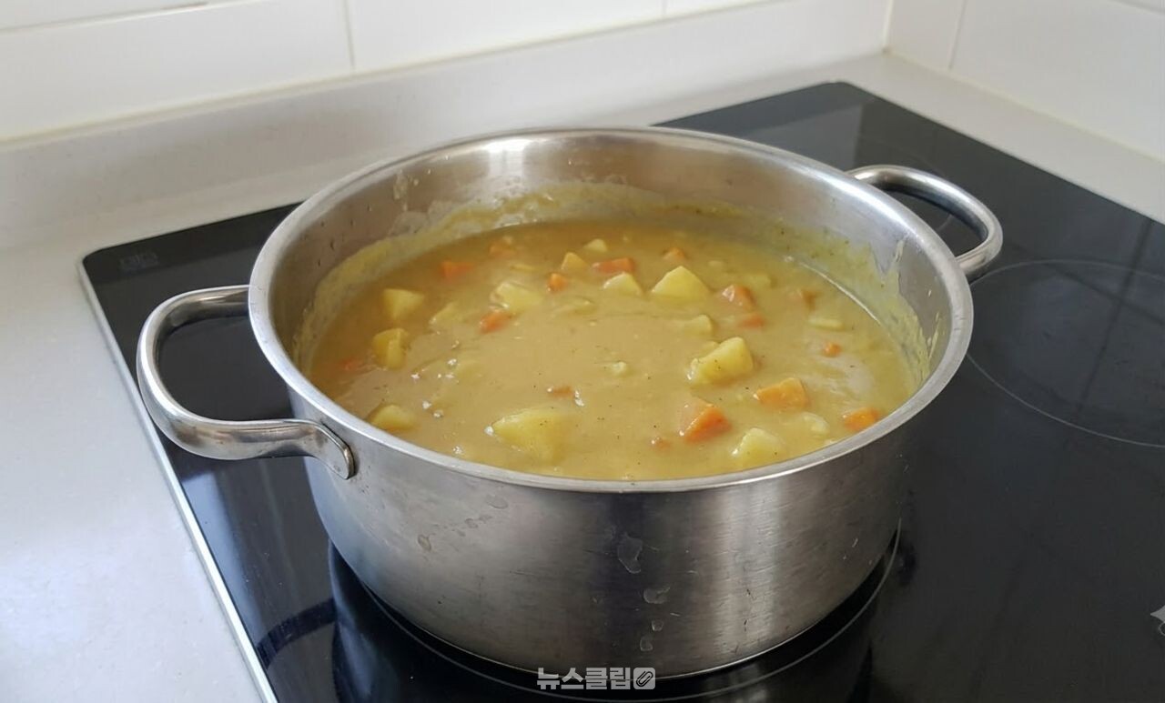 카레 레시피 / 기사 이해를 돕기 위한 AI 이미지