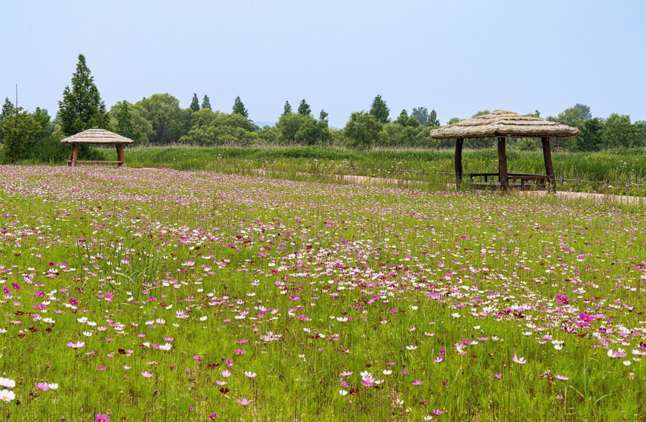 용안생태습지공원 / 한국관광콘텐츠랩-조영권