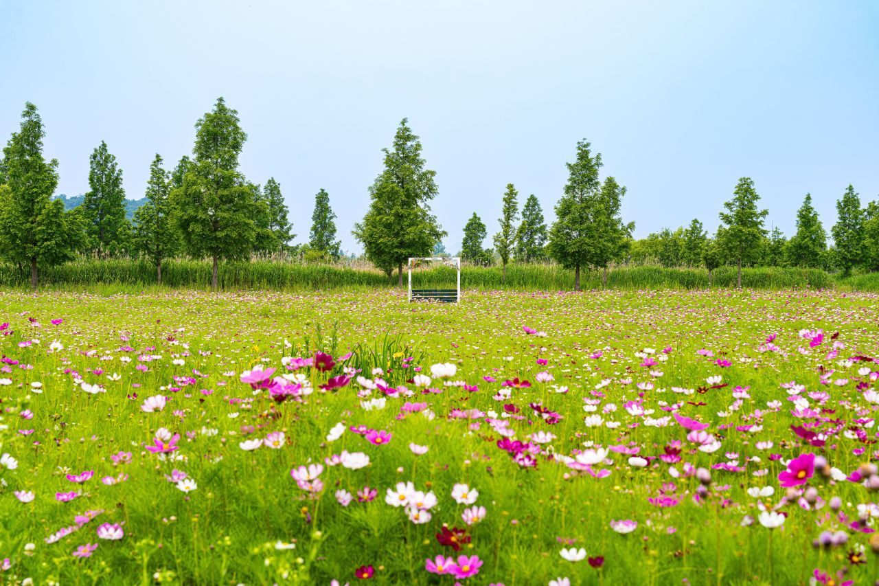 용안생태습지공원 / 한국관광콘텐츠랩-조영권