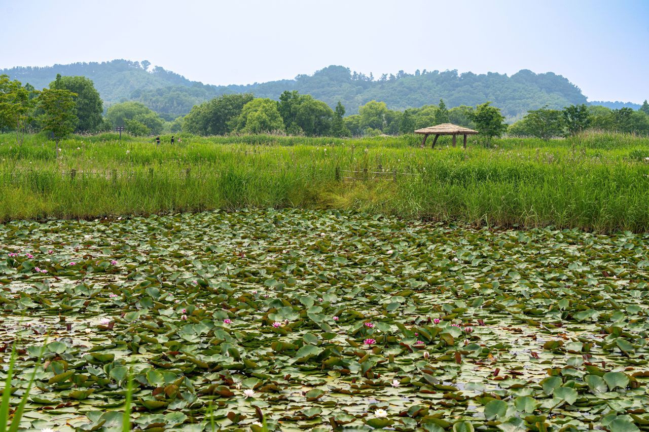 용안생태습지공원 / 한국관광콘텐츠랩-조영권