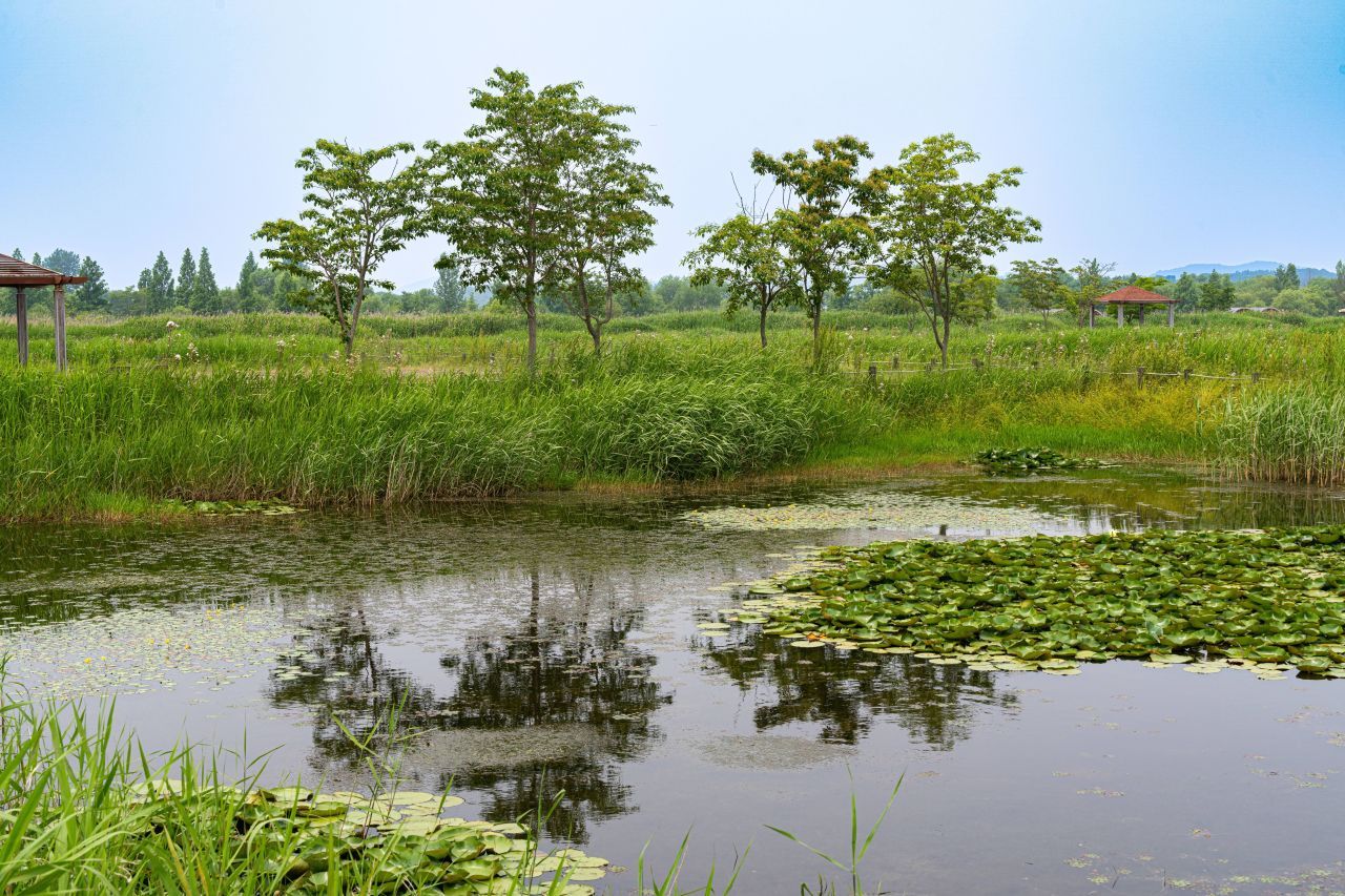 용안생태습지공원 / 한국관광콘텐츠랩-조영권