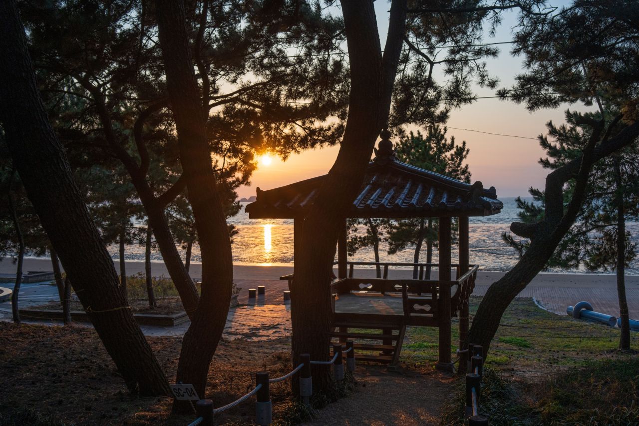 장항송림산림욕장 / 한국관광콘텐츠랩-김지호