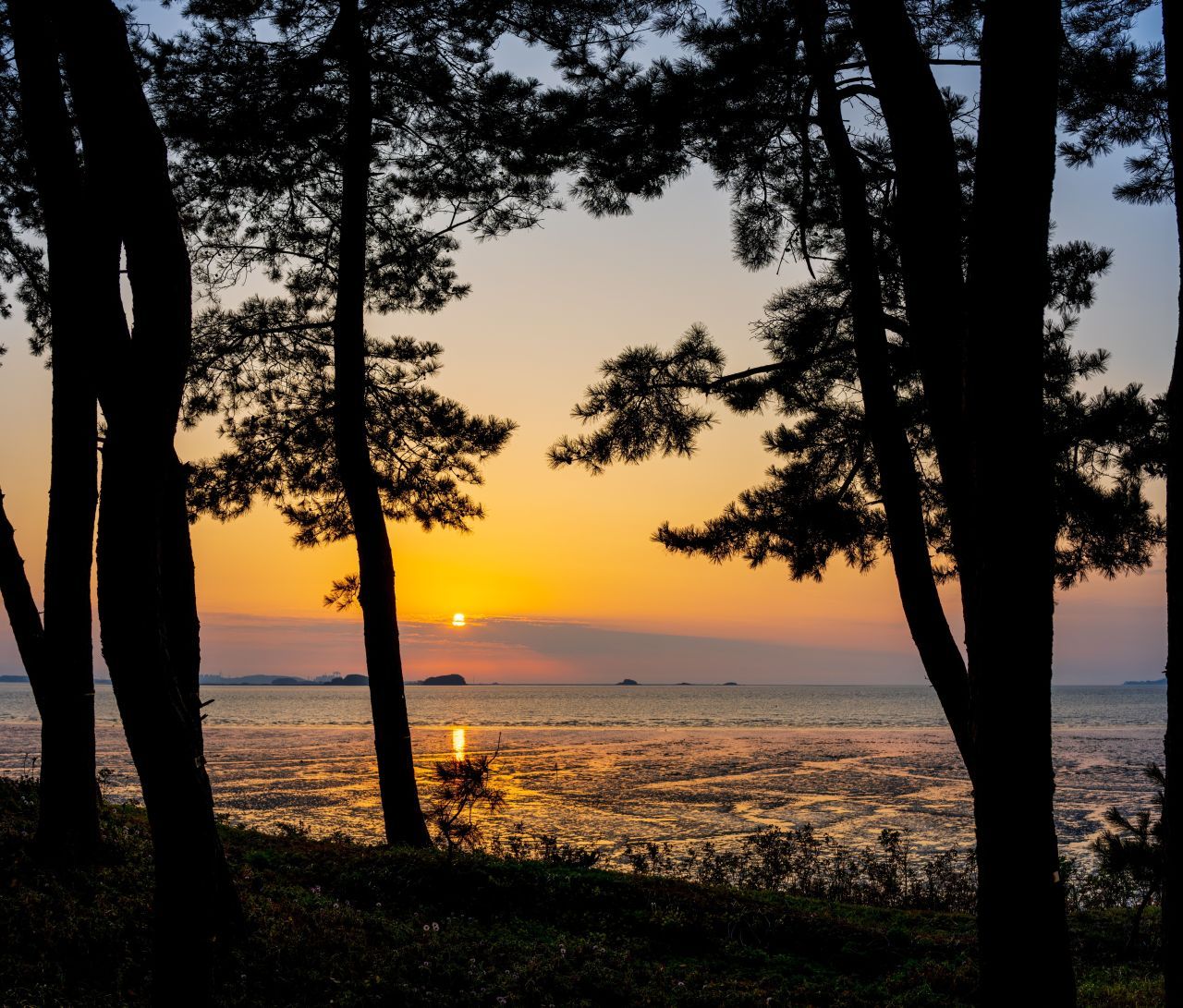 장항송림산림욕장 / 한국관광콘텐츠랩-김지호