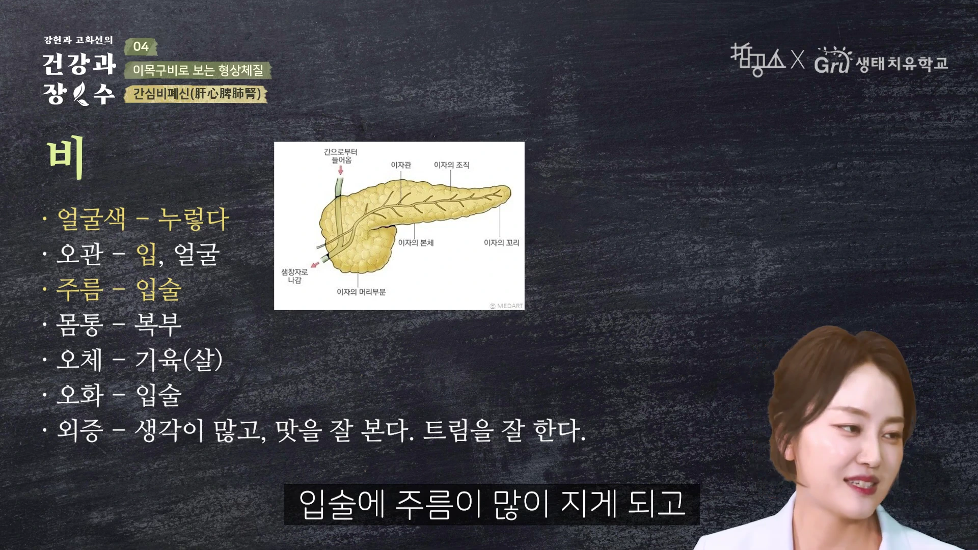 강의 화면에 '비(脾)'라는 글자와 함께 비장의 특징인 얼굴색, 오관, 주름, 몸통, 오체, 오화, 외증 등이 나열되어 있고, 이자 구조를 보여주는 해부학적 그림이 포함되어 있으며 오른쪽 하단에는 여성 강사가 말하는 모습이 보인다.