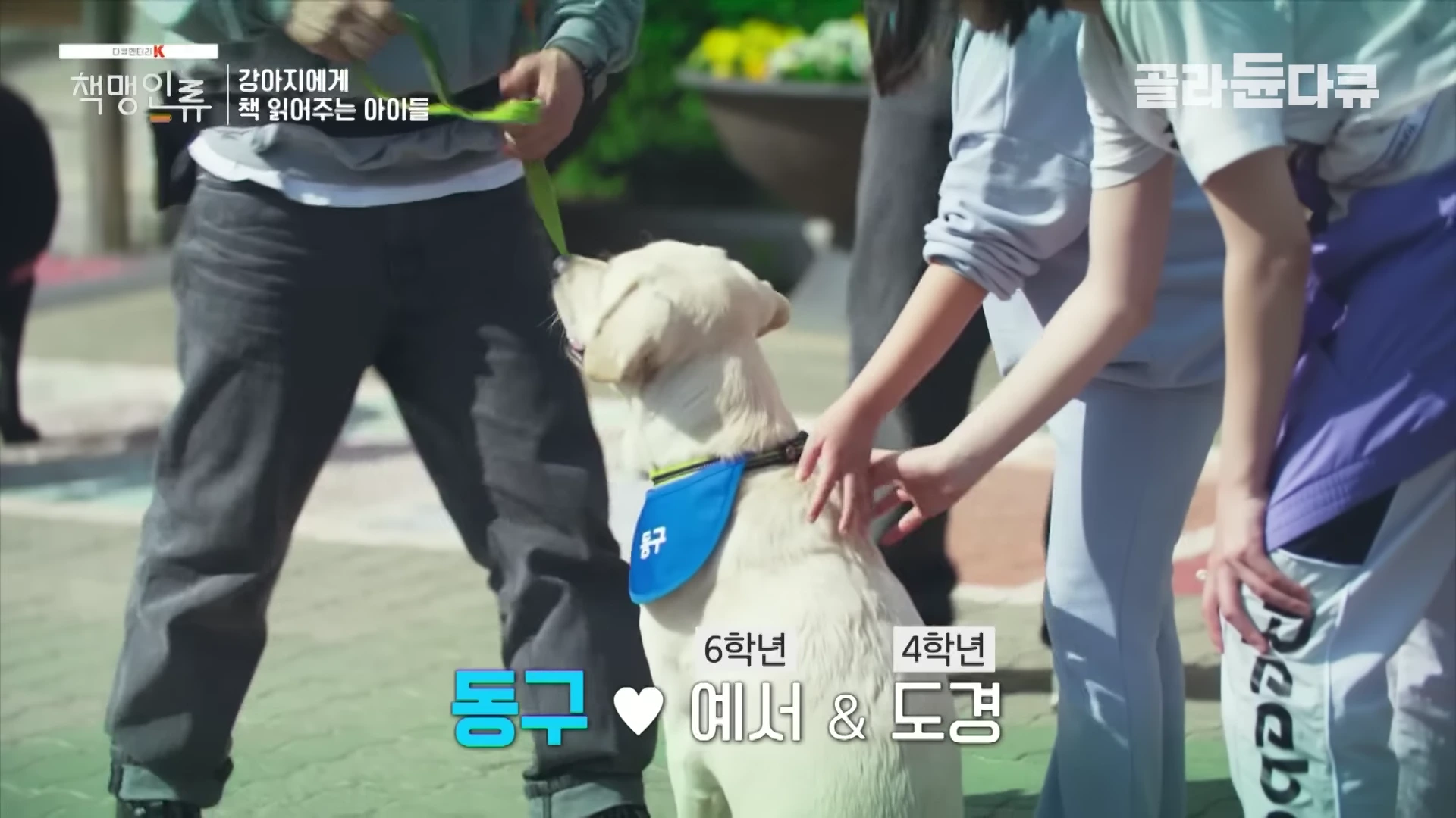 푸른색 스카프를 두른 리트리버 종의 강아지 '동구'와 그 주변에 서 있는 초등학생들의 모습이 담긴 방송 화면