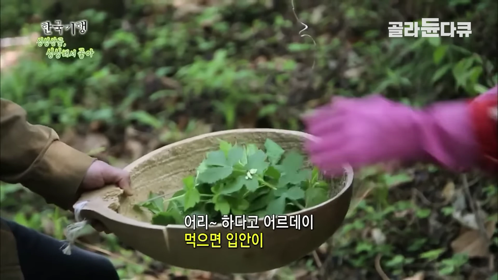 두 사람이 분홍색 고무장갑을 낀 손으로 산에서 갓 채취한 나물을 투박한 나무 그릇에 담고 있다.