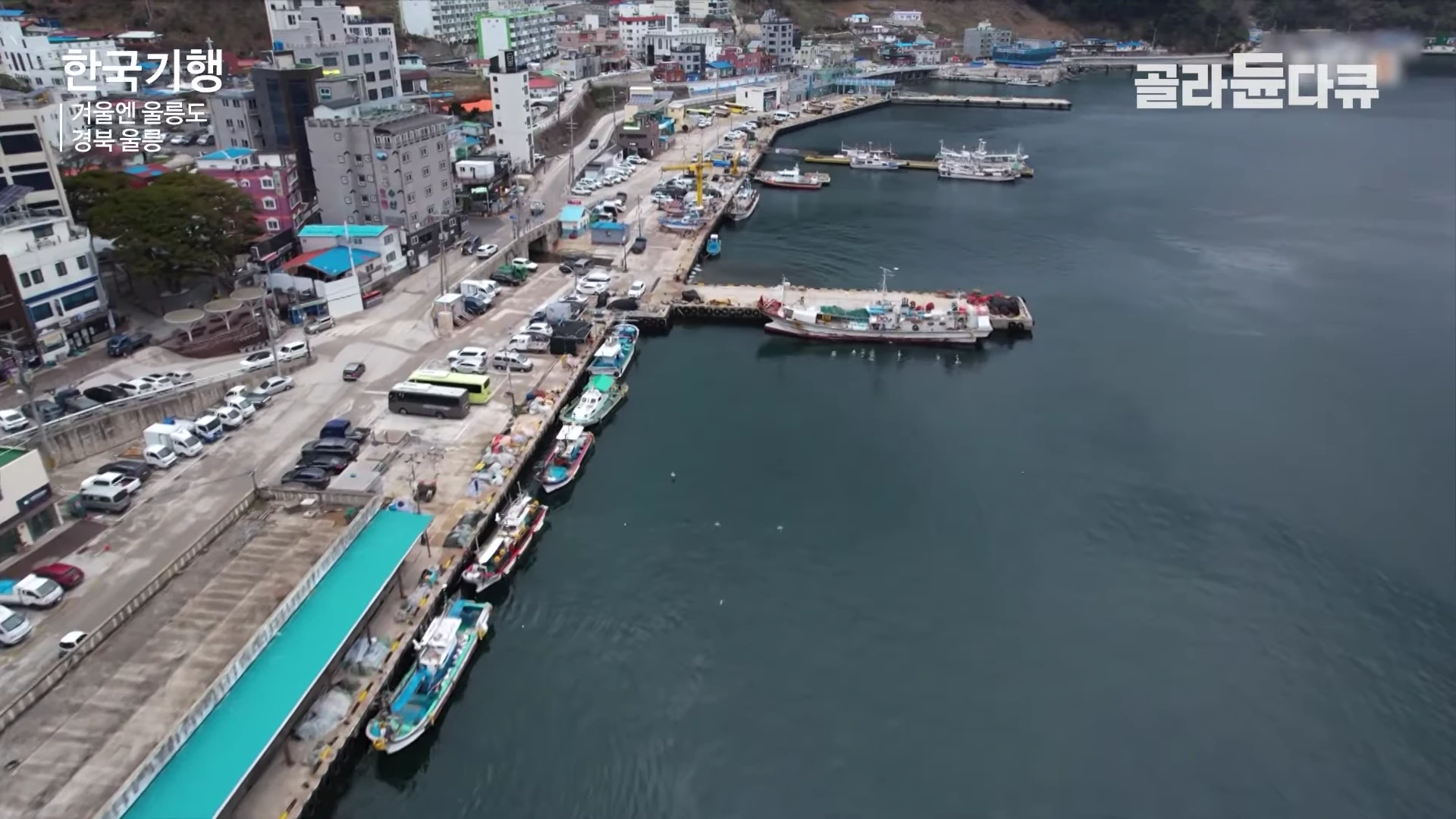 드론으로 촬영한 울릉도 항구의 전경으로, 잔잔한 바다 위에 어선들이 정박해 있고 해안가 도로에는 차량들이 주차되어 있는 모습이다.