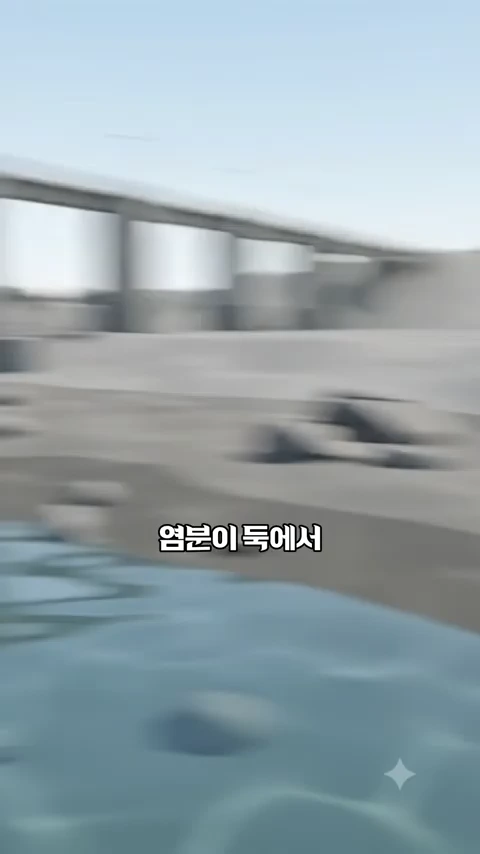 낙동강 하굿둑의 수문과 그 앞쪽 강물을 담은 영상 화면으로, 중앙에 '염분이 둑에서'라는 한글 자막이 떠 있습니다.
