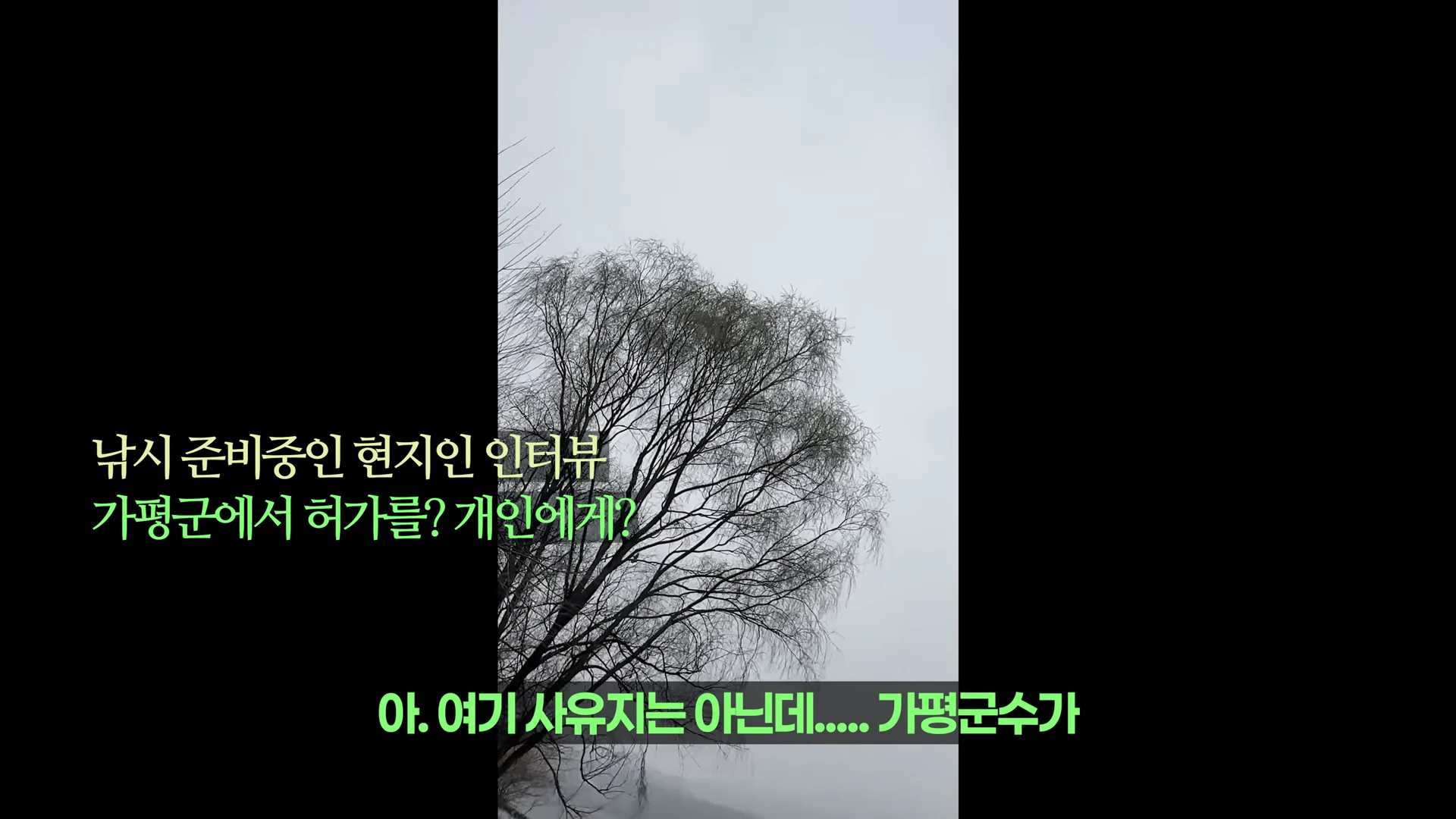 겨울철 흐린 하늘 아래 잎이 떨어진 큰 나무가 서 있는 강가 풍경과 영상 하단에 배치된 녹색 자막
