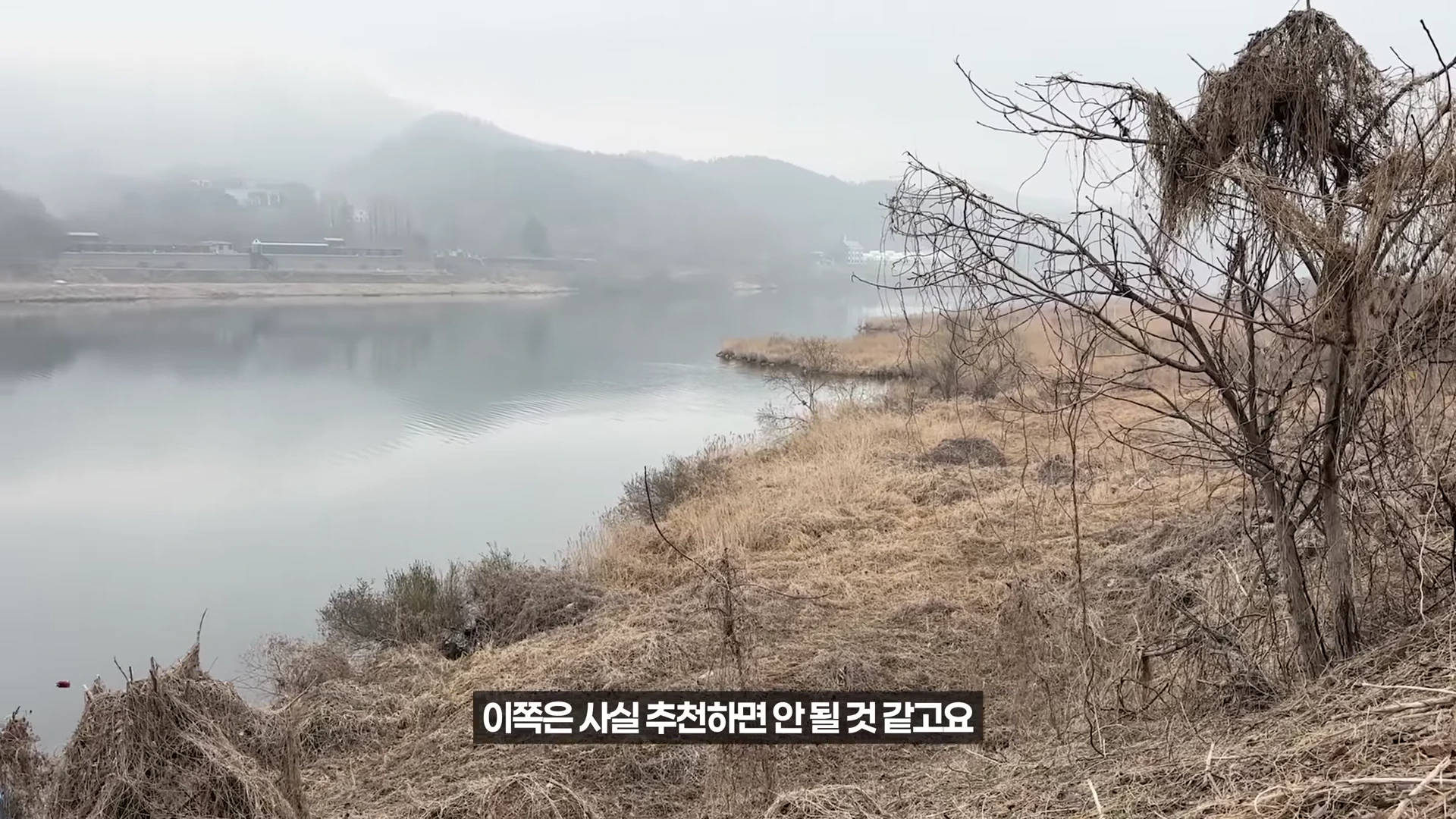 안개가 자욱한 강변 풍경으로, 마른 갈대와 나무가 있는 강가에서 멀리 산이 보이는 흐린 날의 야외 전경이며 화면 하단에는 '이쪽은 사실 추천하면 안 될 것 같고요'라는 자막이 있습니다.
