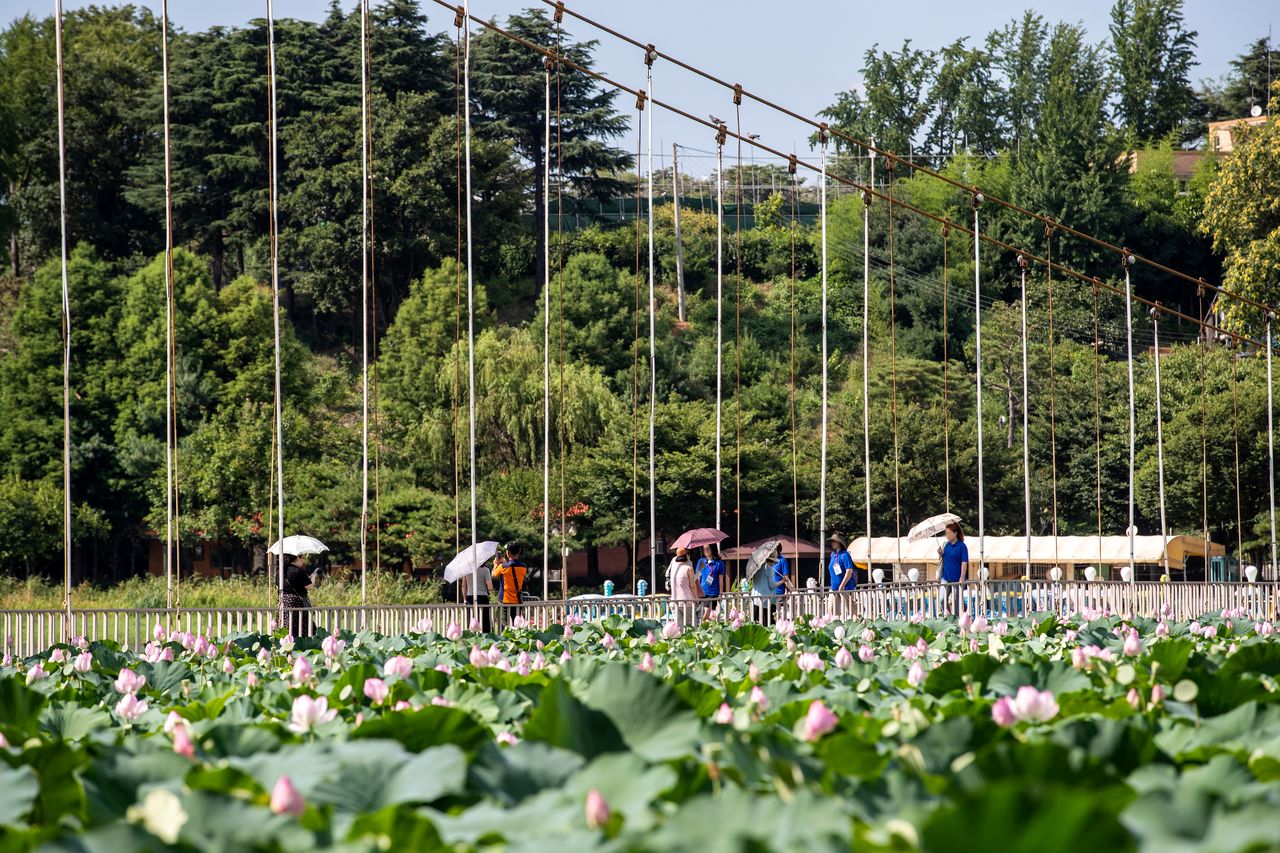 덕진공원 / 한국관광콘텐츠랩-이범수