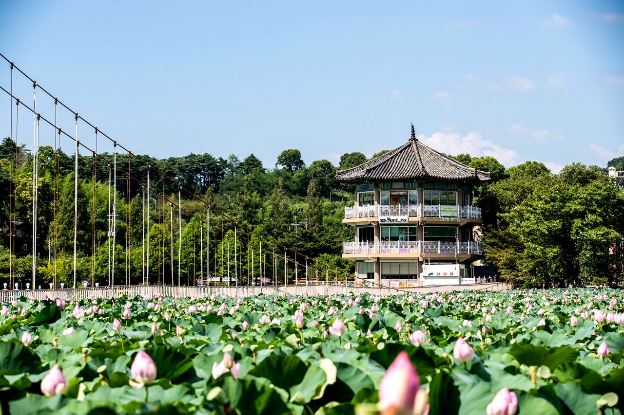 덕진공원 / 한국관광콘텐츠랩-이범수