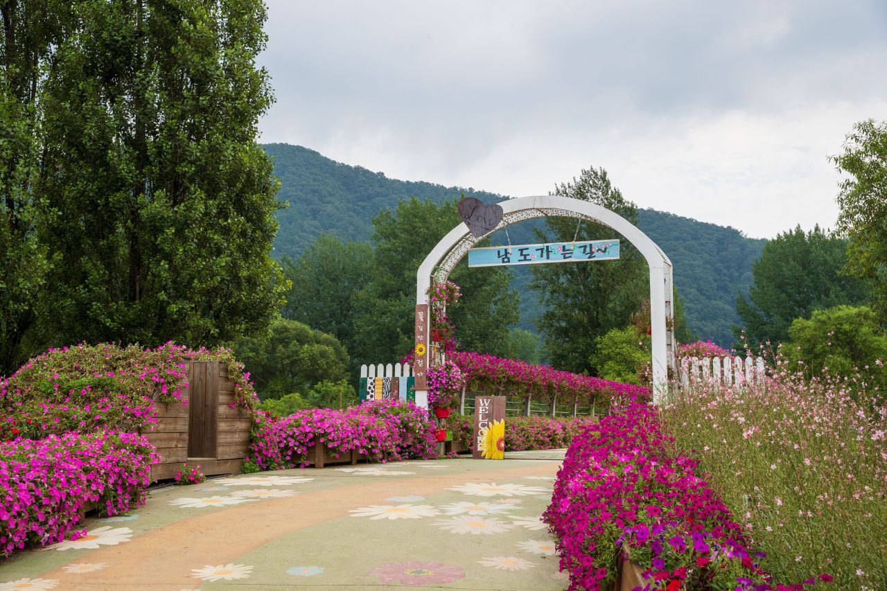 자라섬 / 한국관광콘텐츠랩-김지호