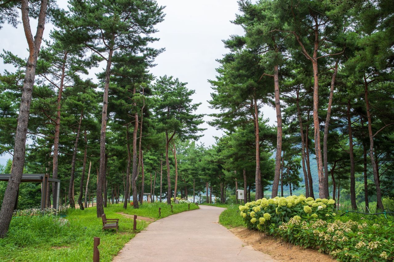 자라섬 / 한국관광콘텐츠랩-김지호