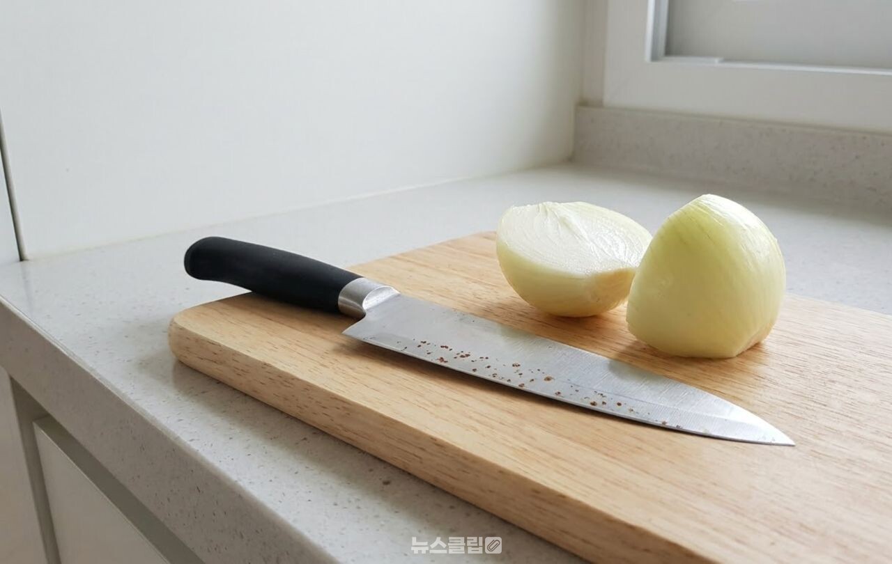 양파로 식칼 녹 제거 / 기사 이해를 돕기 위한 AI 이미지