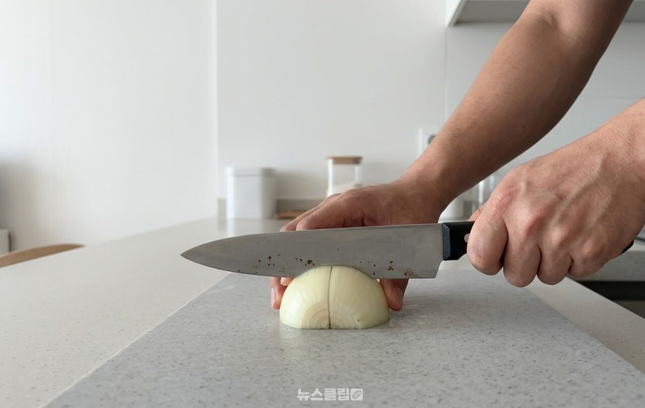양파로 식칼 녹 제거 / 기사 이해를 돕기 위한 AI 이미지
