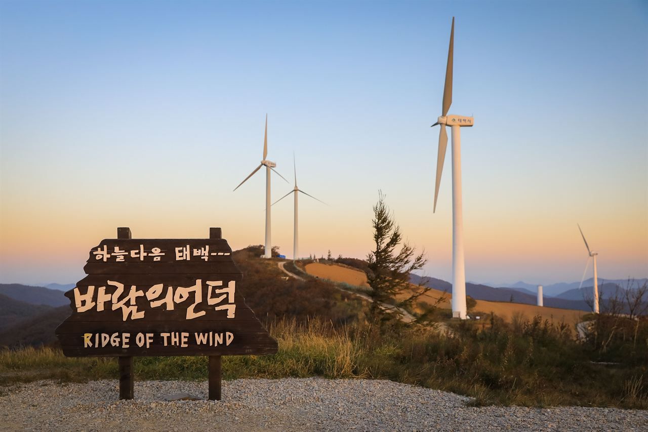 매봉산 바람의 언덕 / 한국관광콘텐츠랩-황성훈