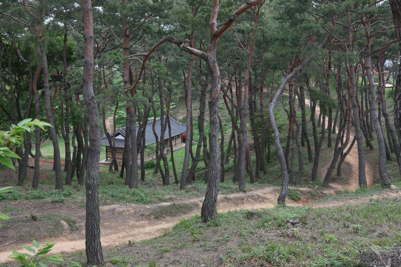 고창읍성(모양성) / 한국관광콘텐츠랩-김지호