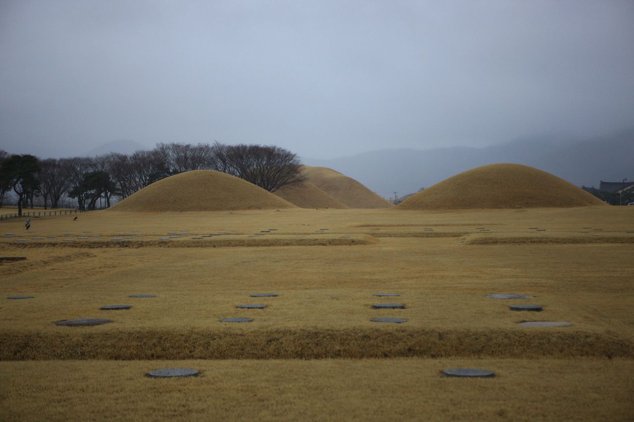 경주 동부사적지대 / 한국관광콘텐츠랩-김지호