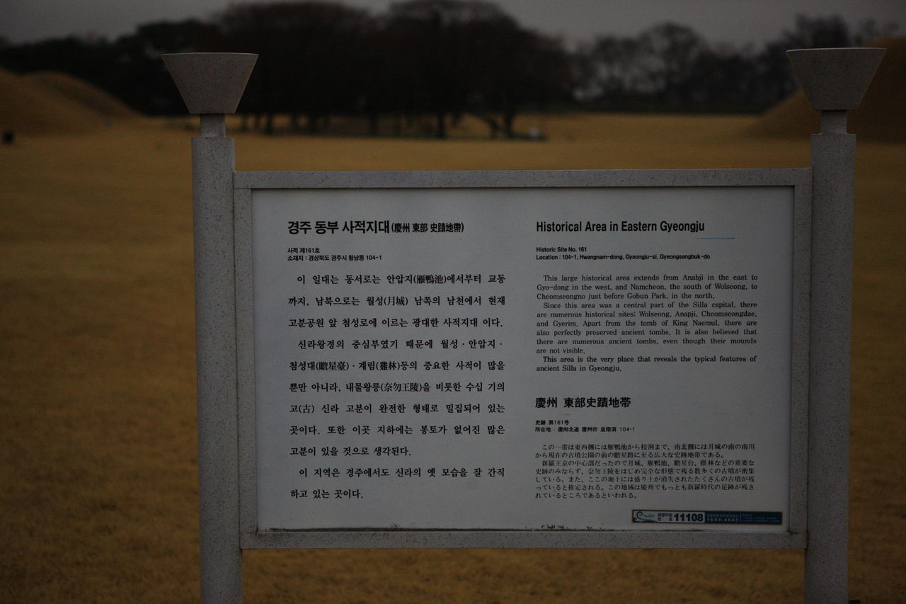 경주 동부사적지대 / 한국관광콘텐츠랩-김지호