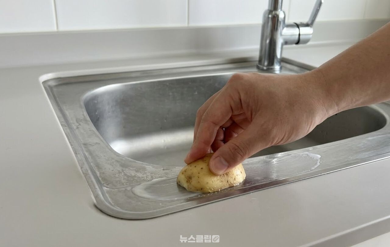 감자껍질 싱크대 청소 / 기사 이해를 돕기 위한 AI 이미지