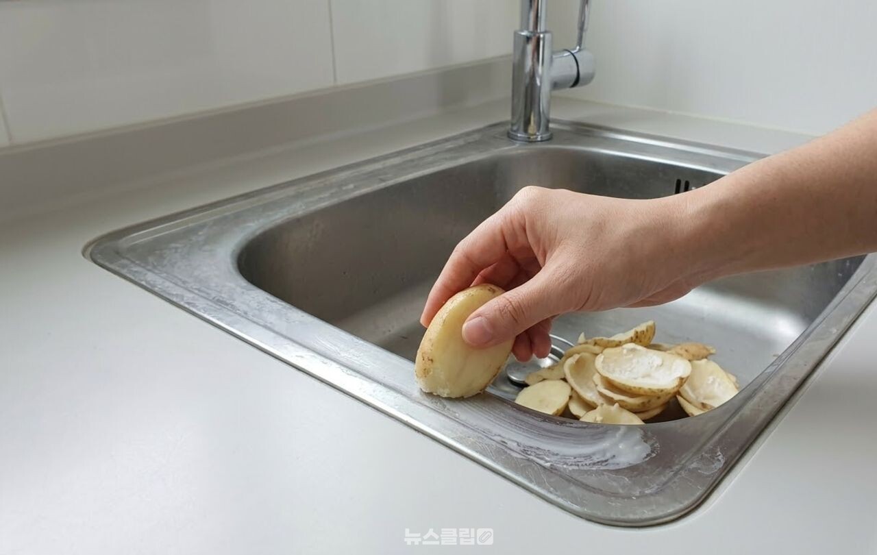 감자껍질 싱크대 청소 / 기사 이해를 돕기 위한 AI 이미지