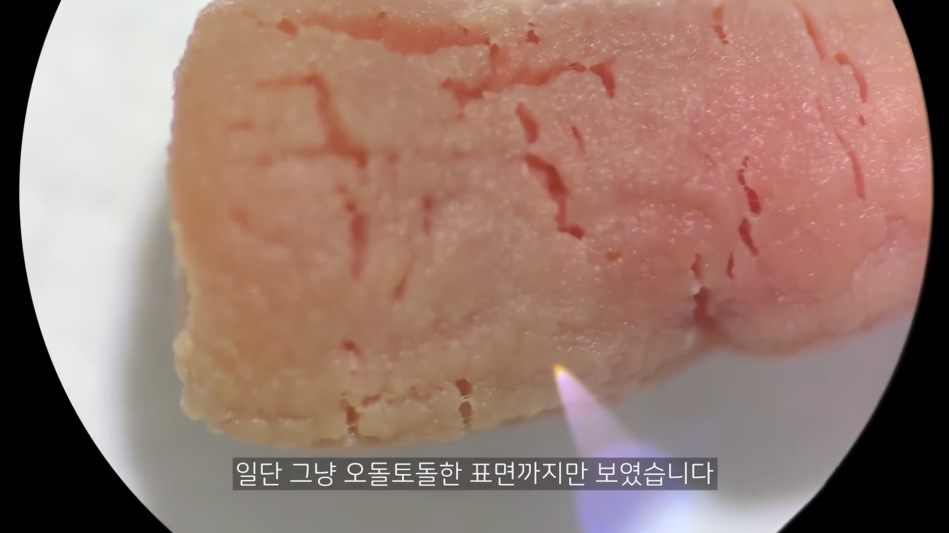 현미경으로 확대하여 본 말미잘 촉수의 표면으로, 굴곡이 있고 오돌토돌한 질감이 드러나 있습니다.
