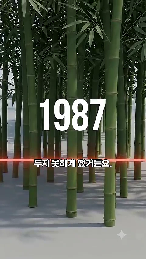 빽빽하게 서 있는 대나무 숲을 배경으로 숫자 1987과 '두지 못하게 했거든요.'라는 한글 자막이 화면 중앙에 배치된 영상 장면입니다.