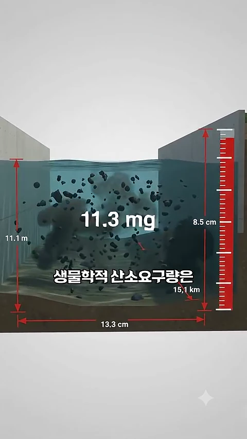 물속에 부유물이 떠다니는 단면도를 나타내는 그래픽으로 생물학적 산소요구량 11.3mg이라는 수치가 강조되어 표기되어 있습니다.