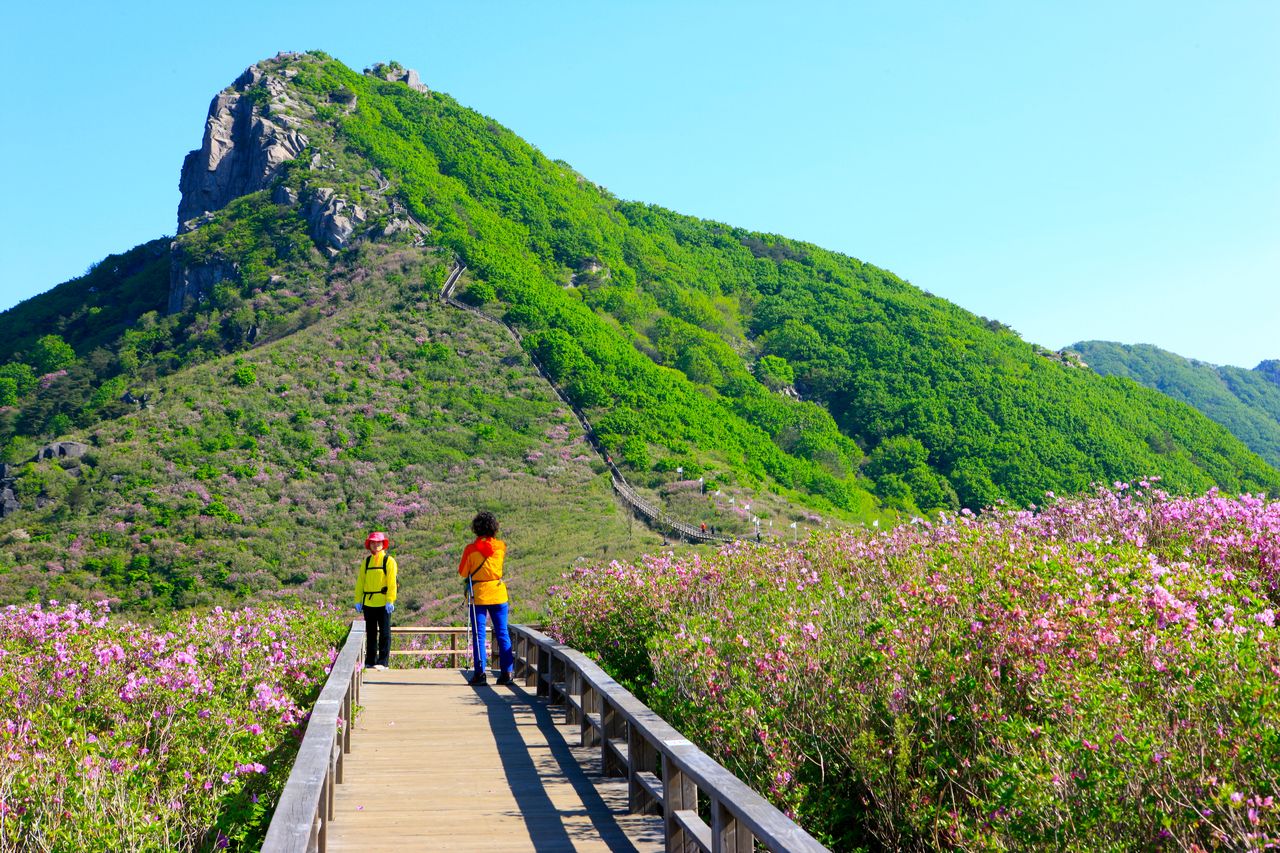황매산 / 한국관광콘텐츠랩-김지호