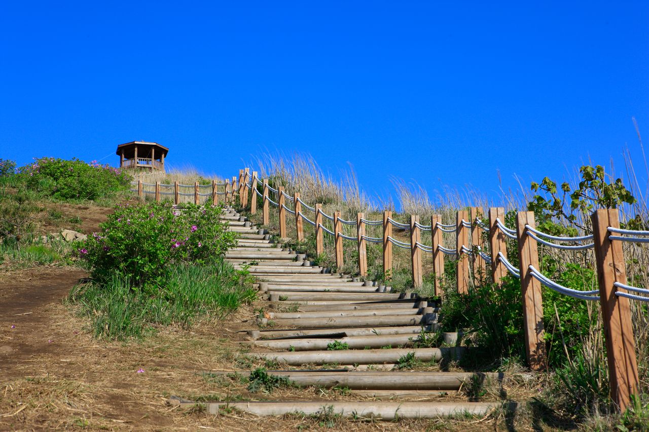 황매산 / 한국관광콘텐츠랩-김지호