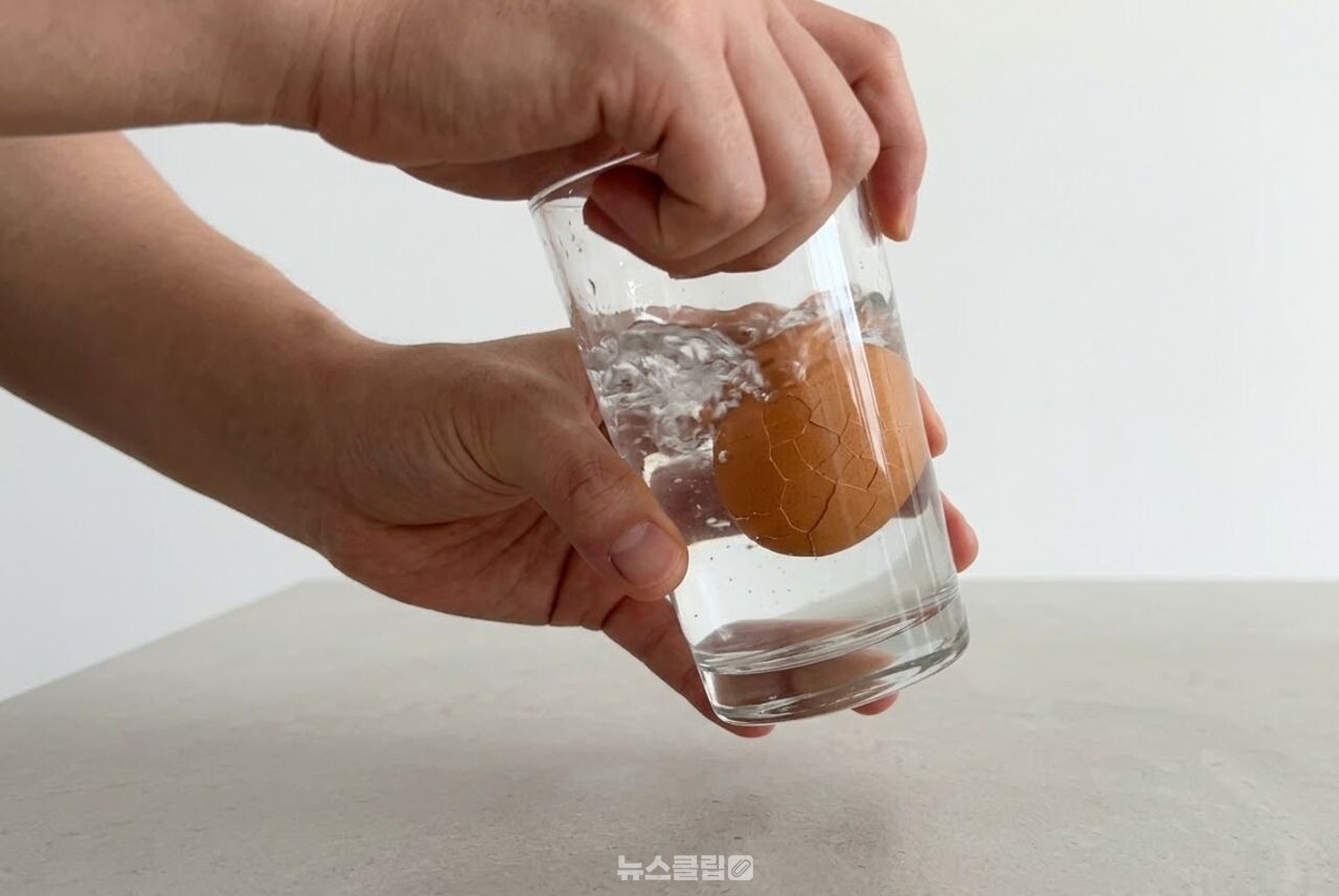 삶은 계란 껍질 까는 방법 / 기사 이해를 돕기 위한 AI 이미지