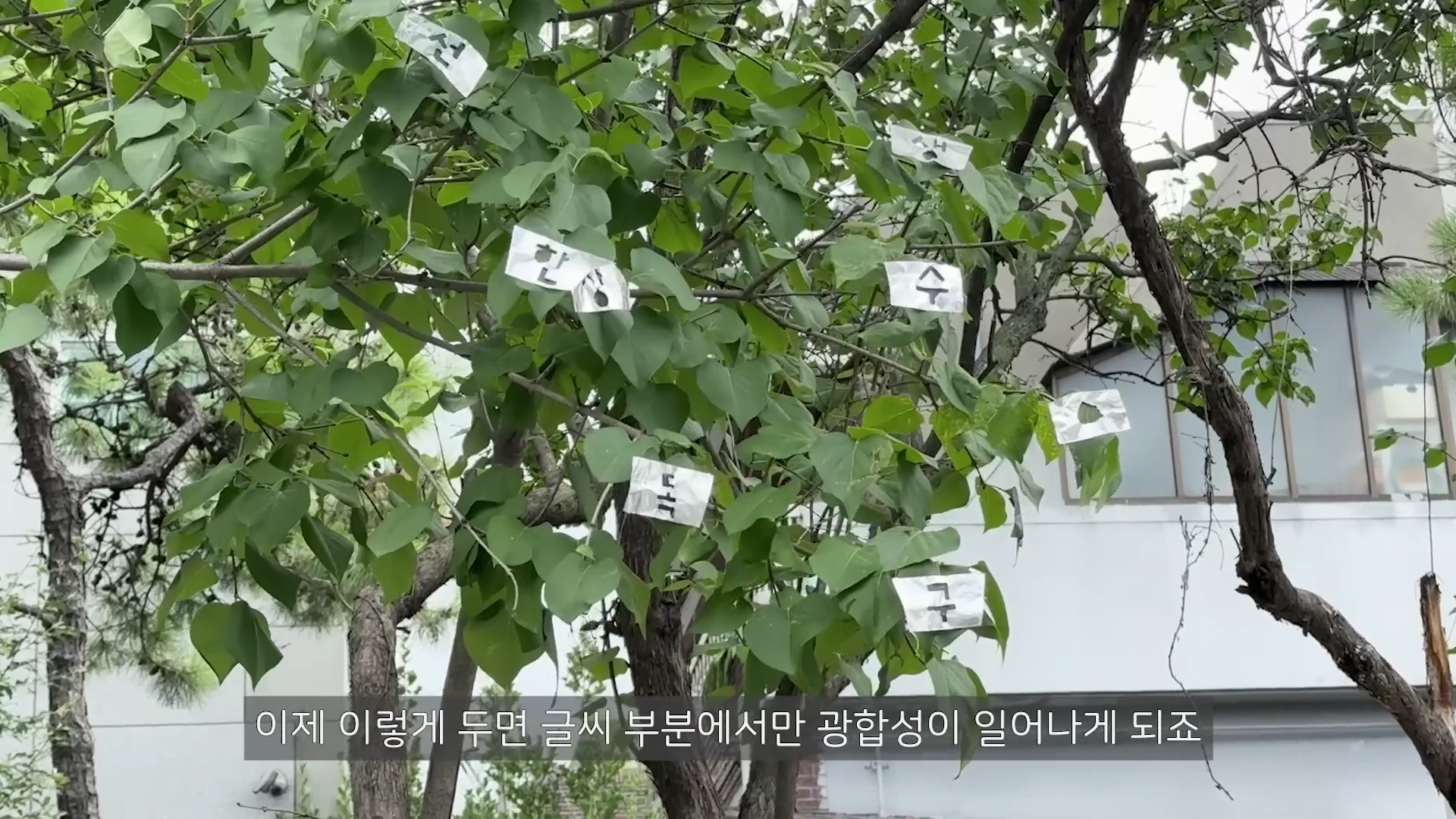 나무 가지에 매달린 나뭇잎들 위에 글자가 새겨진 알루미늄 호일 조각들이 군데군데 덮여 있는 모습이다.