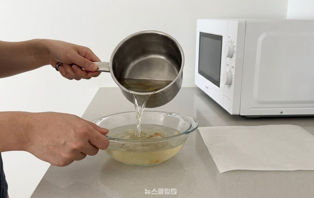 전자레인지 튐 방지 덮개 / 기사 이해를 돕기 위한 AI 이미지