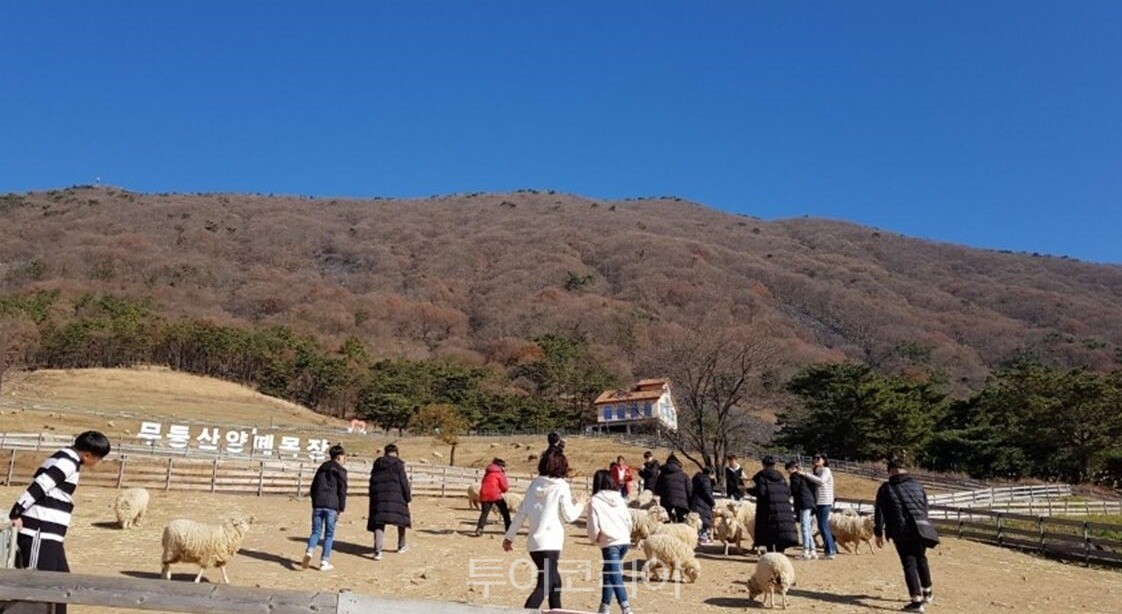 무등산양떼목장 /사진-화순군
