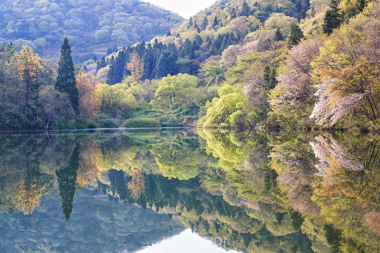 세량제 /사진-화순군