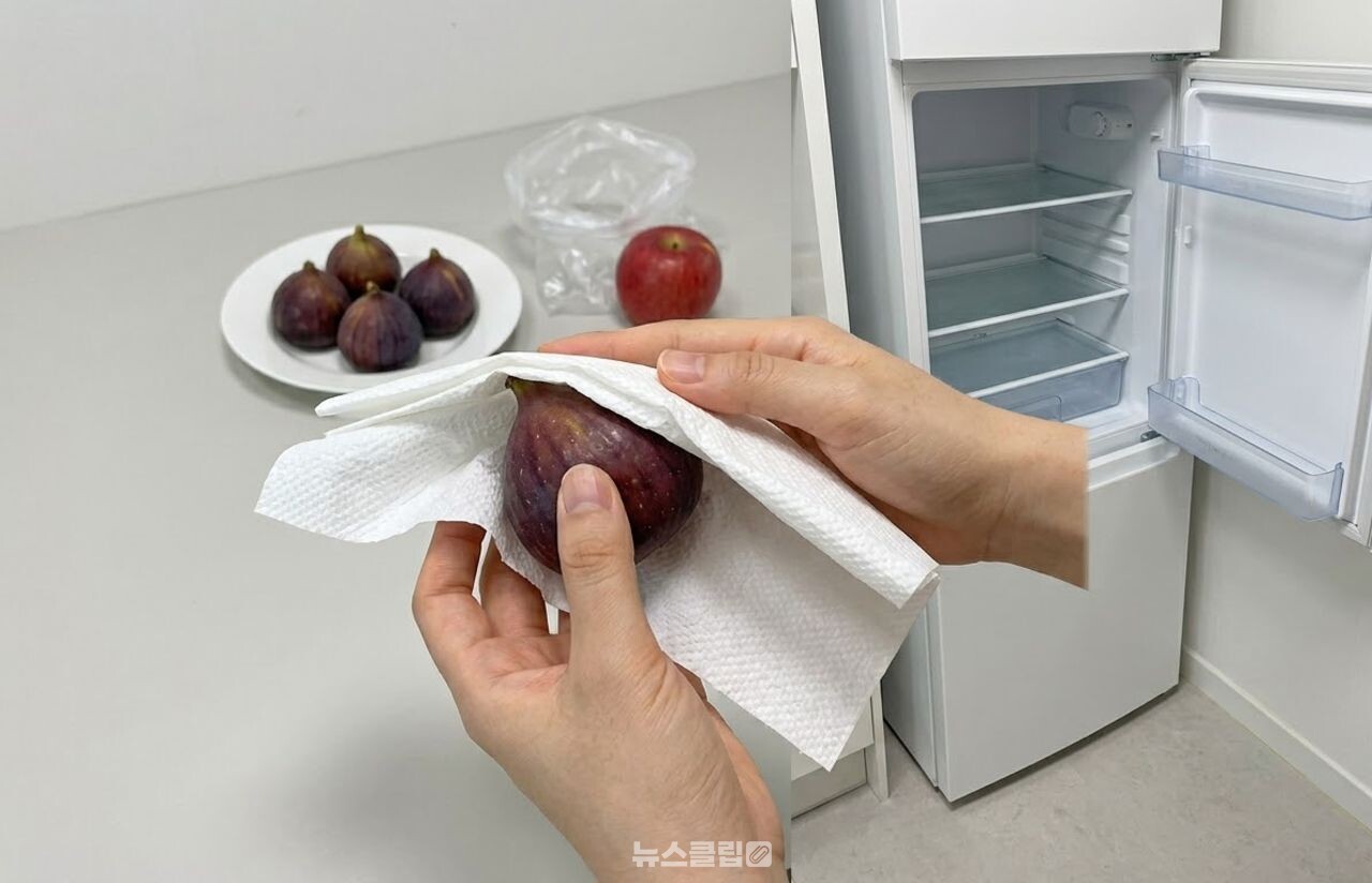 무화과 / 기사 이해를 돕기 위한 AI 이미지