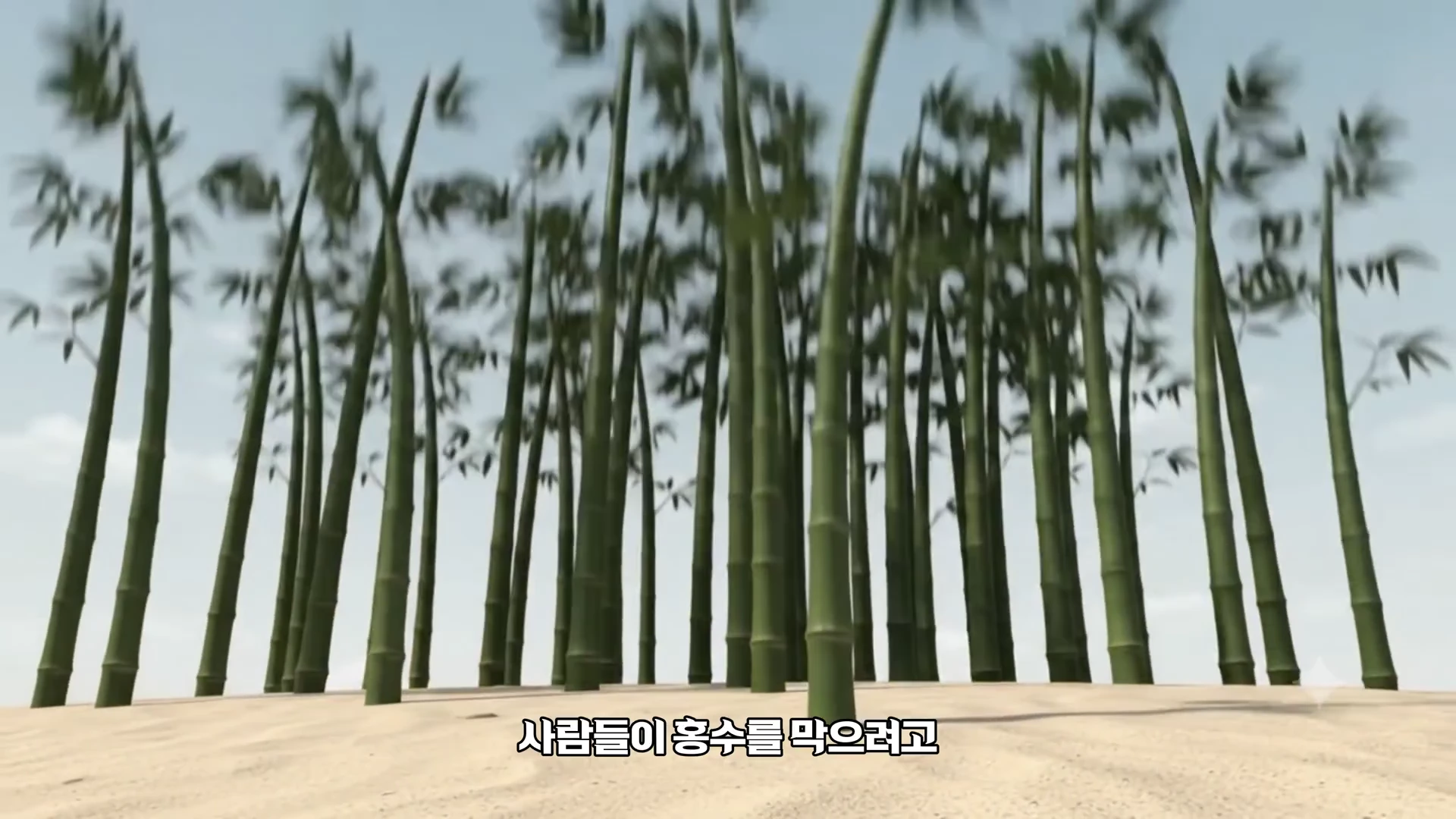 모래사장 위로 곧게 뻗은 대나무들이 빽빽하게 심겨 있는 모습을 담은 그래픽 영상입니다.