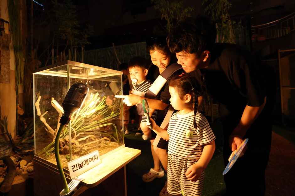 2026 무주 반딧불축제 정보 / 사진=한국관광콘텐츠랩