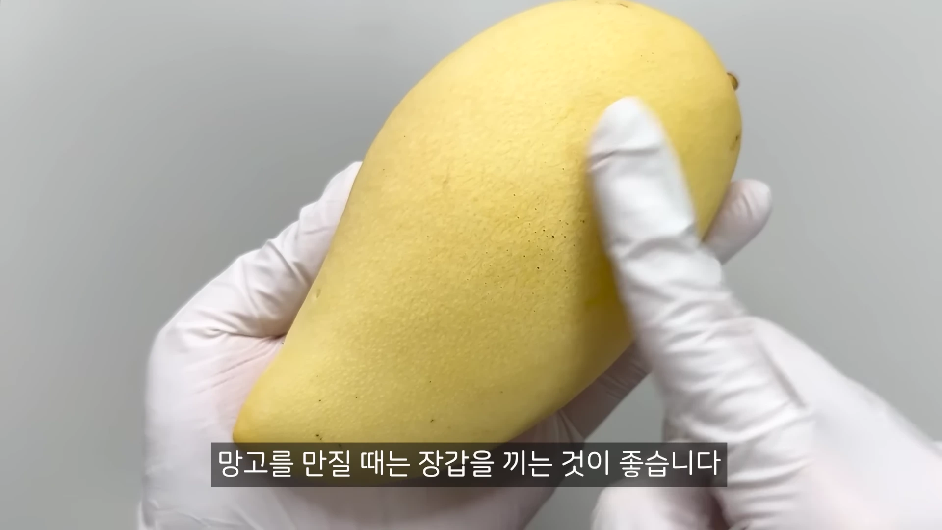 흰 장갑을 낀 손이 노란색 망고를 가리키고 있으며, 하단에는 '망고를 만질 때는 장갑을 끼는 것이 좋습니다'라는 자막이 표시되어 있습니다.