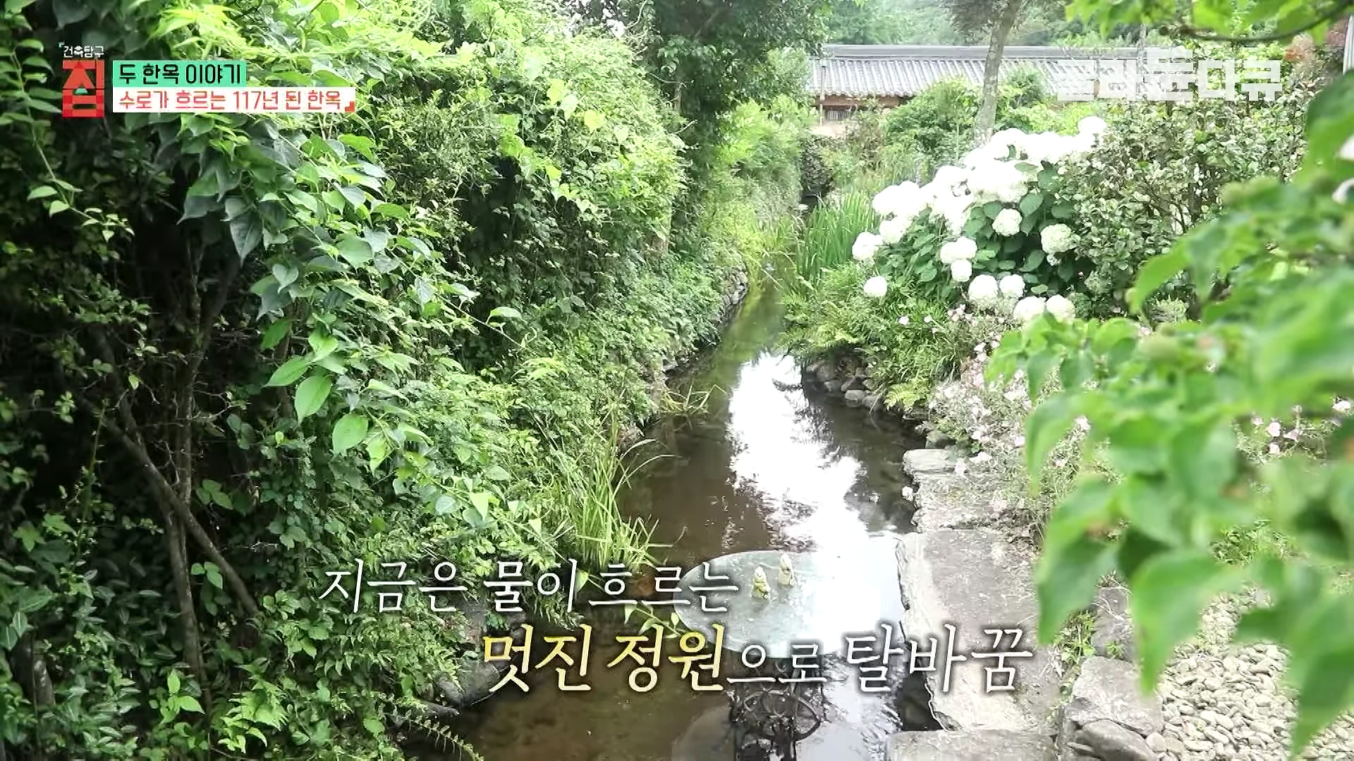 푸른 나무와 흰 수국이 우거진 정원 사이로 작은 개울이 흐르고 있으며, 개울 중앙에는 유리 테이블이 놓여 있습니다.