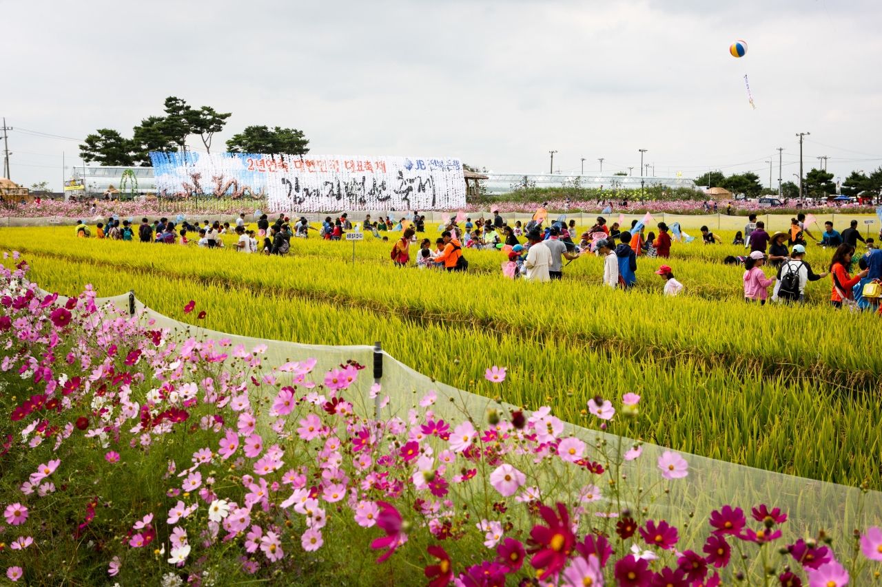 김제 지평선축제 / 한국관광콘텐츠랩-김지호