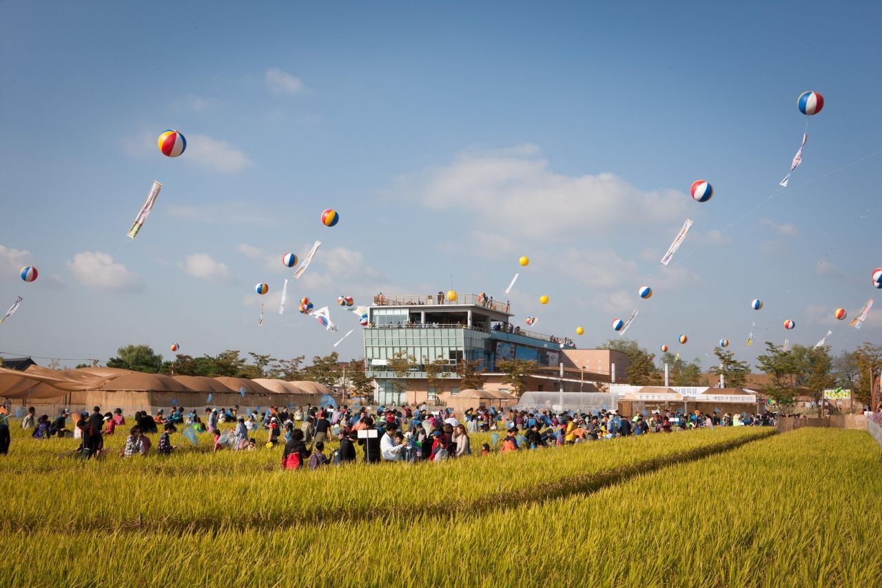 김제 지평선축제 / 한국관광콘텐츠랩-김지호